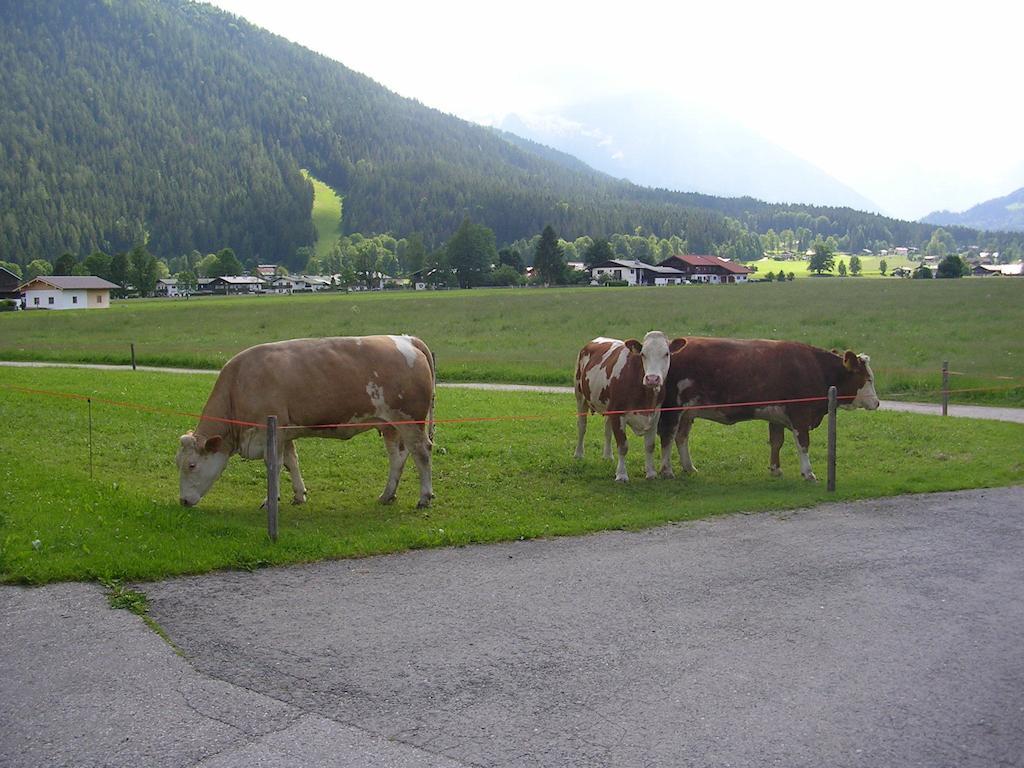 Gaestehaus Bodnerlehen Hotel Schoenau am Koenigsee Room photo